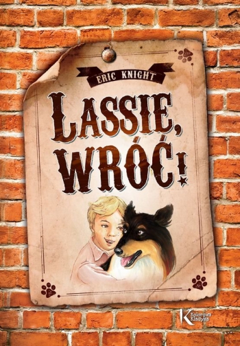 lassie-wroc-b-iext39531169