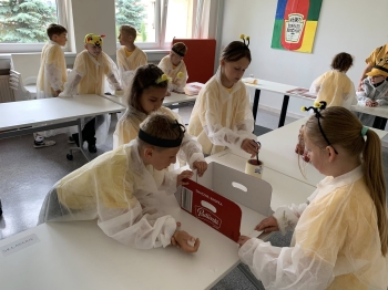 504809823_1210927064162241_5101874244330306481_n