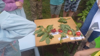 503701127_1212967640624850_4952905668433445932_n