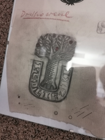 506273591_1214050327183248_2085193285560483235_n