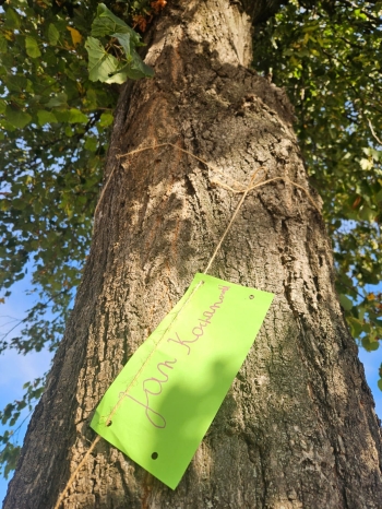 545413316_1285247773396836_382082088069821042_n