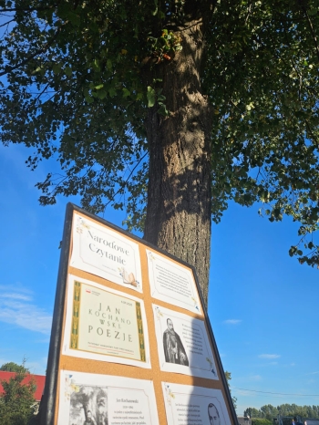 545419831_1285247306730216_3708458173941976787_n