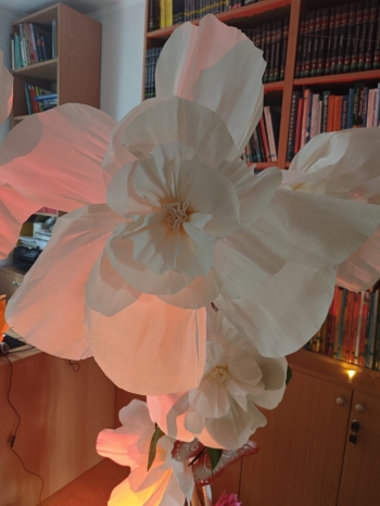 IMG_20251113_090911_Easy-Resize.com