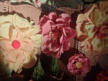 IMG_20251114_111700_Easy-Resize.com