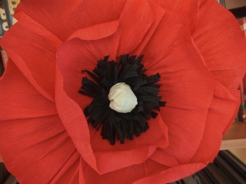 IMG_20251114_111759_Easy-Resize.com