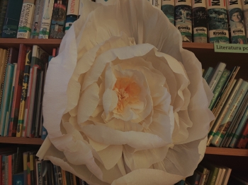 IMG_20251114_111807_Easy-Resize.com