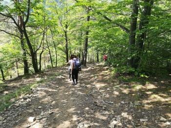 img_20180522_114313_kopia