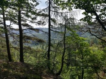 img_20180522_114337_kopia