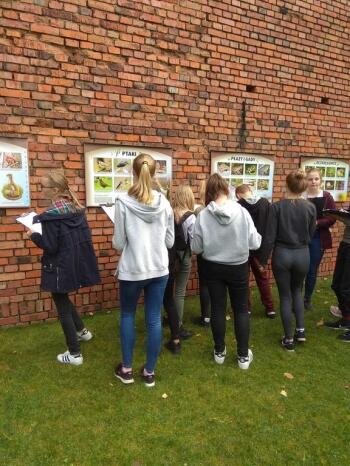 img_20181017_125220_kopia_kopia