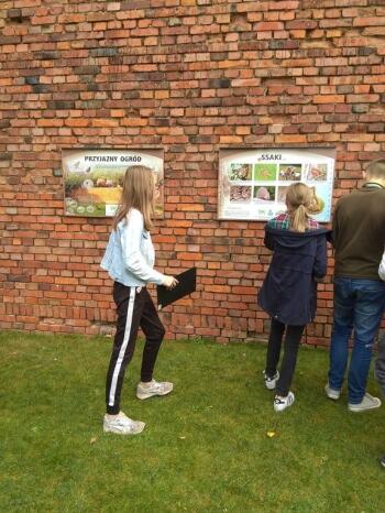 img_20181017_125225_kopia_kopia