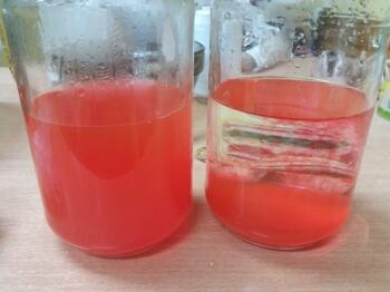 20181109_095433_kopia