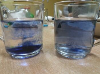 20181109_095500_kopia