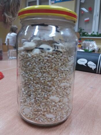 20181109_095845_kopia