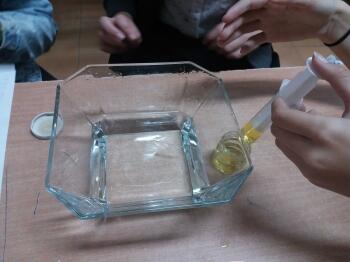 20181109_095953_kopia