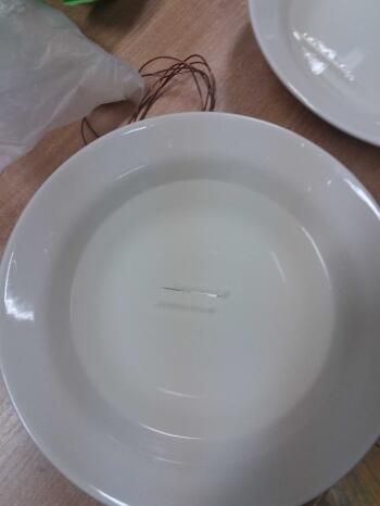 20181109_101435_kopia