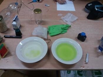 20181109_101905_kopia