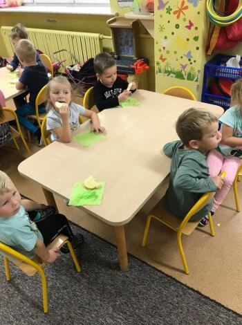 69443520_569589773801406_4351822612775567360_n