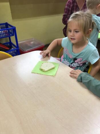 74467906_815811848893401_799785294915174400_n