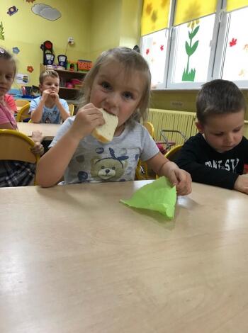 74797540_418025245814726_2853579595767087104_n