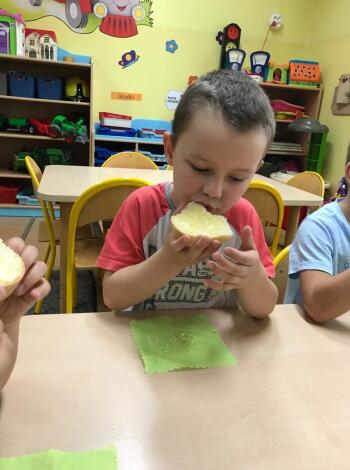 75464196_470674590321367_6487999725009108992_n