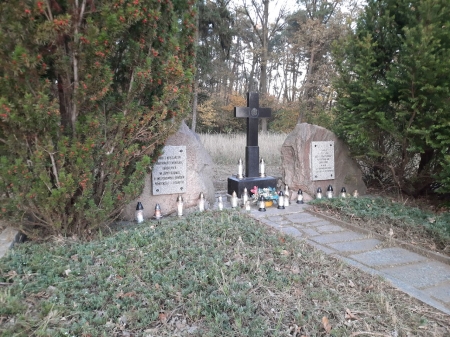 Sprzątanie cmentarza ewangelickiego w Ziemlinie