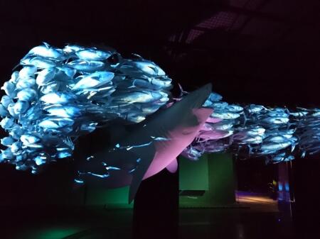 Międzynarodowe kontakty naszych kolegów