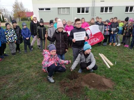 Drzewko niepodległości