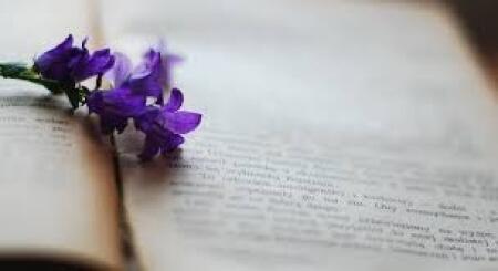 Opowieści o niezwykłej rodzinie